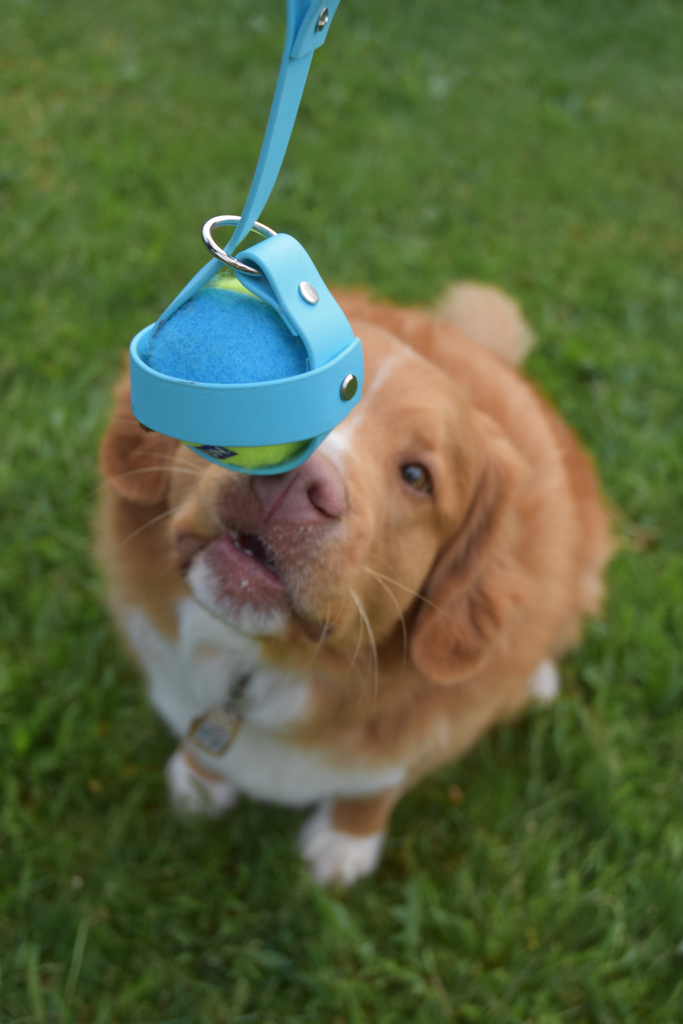 Ballenhouder