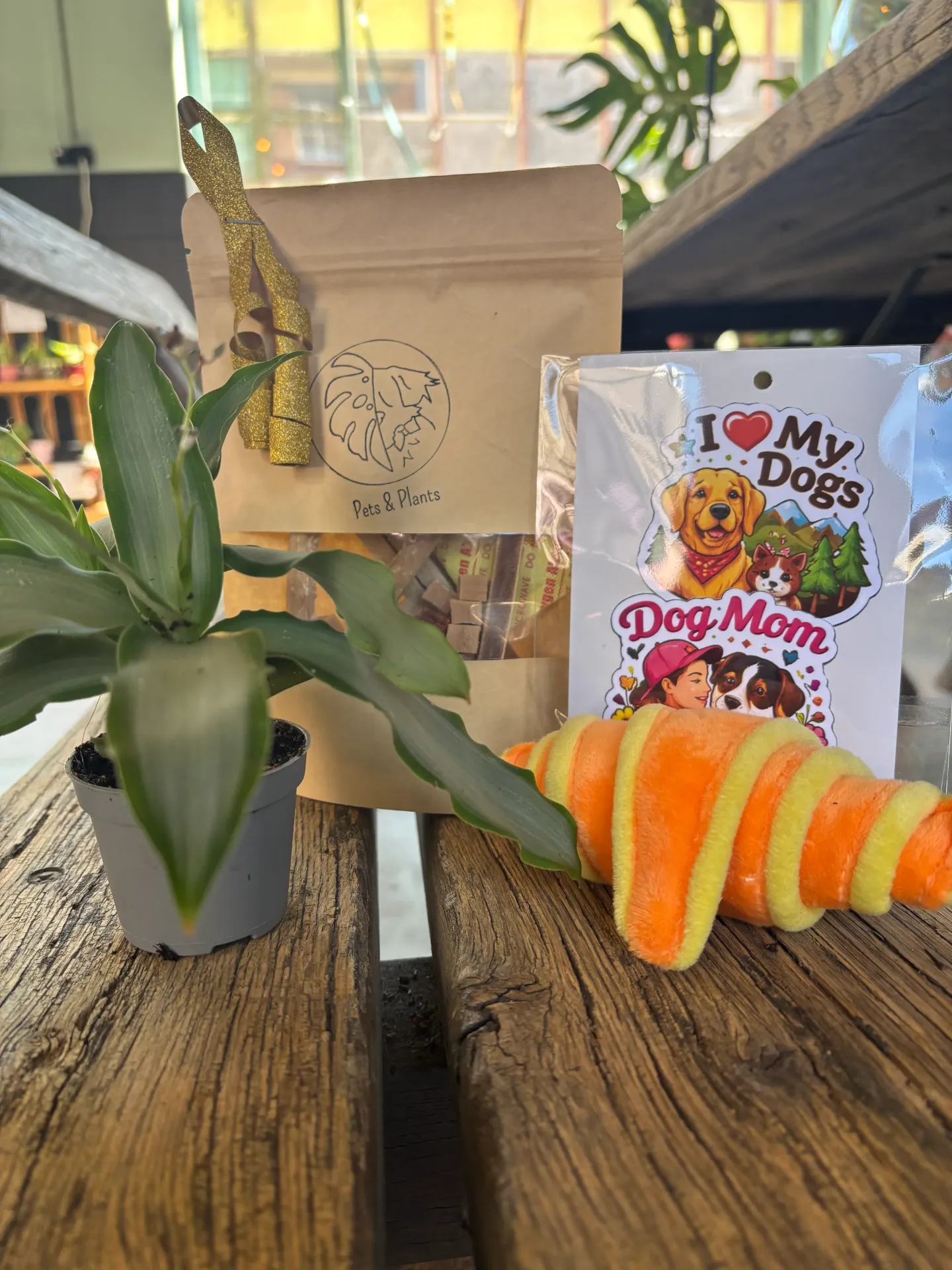 Hond Pets&Plants suprise box