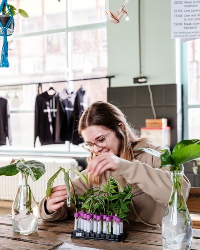 Plantverzorging 101