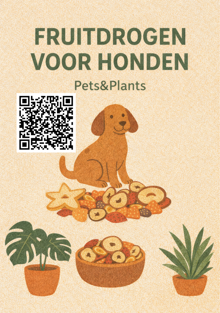 E-boek: Maak jouw gezonde hondensnacks